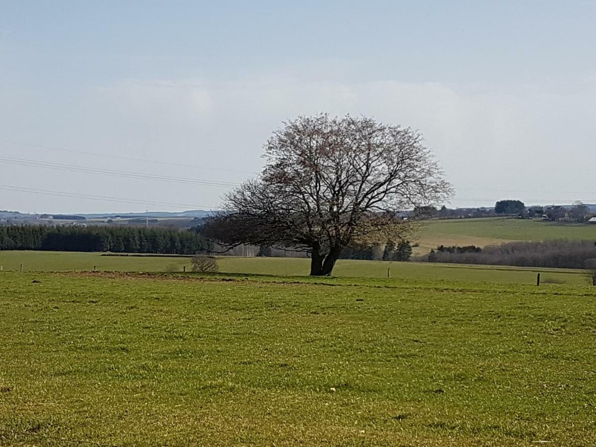 Le Clos De Rosa La-Roche-en-Ardenne Exteriör bild